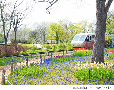 公園火車和花園 40418312