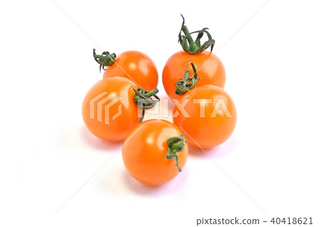 Mini Tomato Mini Tomato 40418621