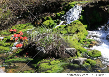 Chabo Mokeke Park Chabo Mokeke Park 40418946