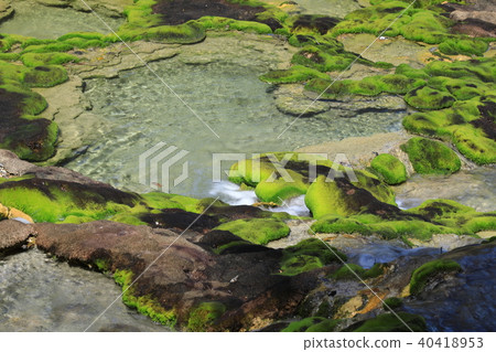 Chabo Mokeke Park 40418953