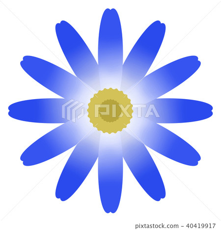 Cineraria（Cineraria） 40419917