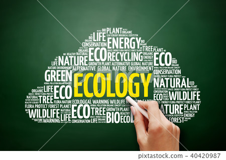 Ecology word cloud collage 40420987