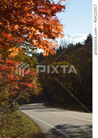 Winding road running in the autumn mountains 40421957