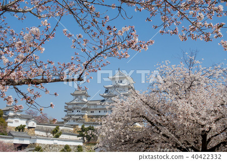Cherry Blossoms with Blue Sky and Himeji Castle Great Temple Cherry Blossoms with Blue Sky and Himeji Castle Great Temple 40422332