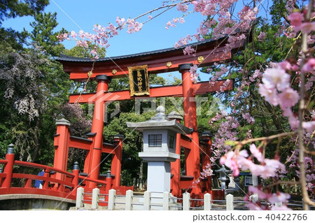 Shimotsu神社 40422766
