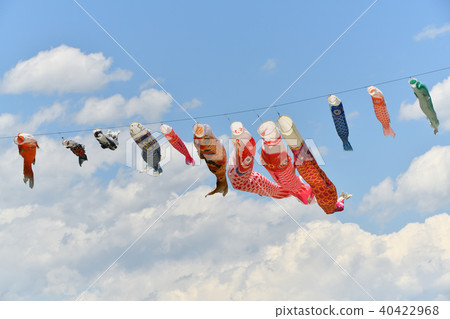Carp streamer Carp streamer 40422968
