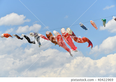 Carp streamer Carp streamer 40422969