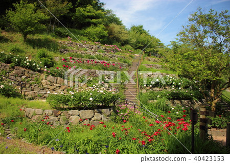 Shirano-no-Botanical Park Shirano-no-Botanical Park 40423153