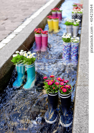 Rubber boots in the water with flowers in the city of Freiburg. Tourist attraction. Rubber boots in the water with flowers in the city of Freiburg. Tourist attraction. 40423844