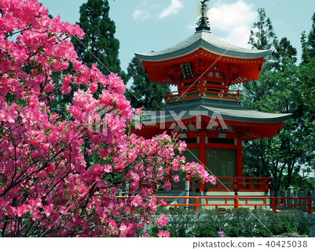 Shohoji Temple Shohoji Temple 40425038