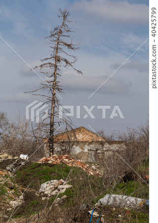 Ruin of an abandoned house and a dry tree Ruin of an abandoned house and a dry tree 40425799