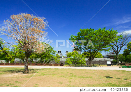 Fresh green Utosu in the blue sky 40425886