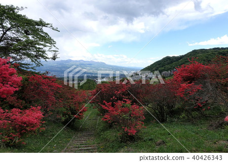 來自Nagamine Park的Ichoho方向 來自Nagamine Park的Ichoho方向 40426343