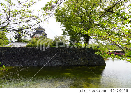 Fresh green national treasure Matsumoto castle · Fushiki castle (Ibaraki) Fresh green national treasure Matsumoto castle · Fushiki castle (Ibaraki) 40429496