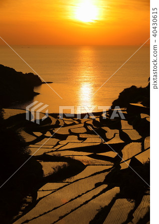 Hamnoura Rice terrace Hamnoura Rice terrace 40430615