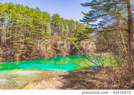 福島縣/浦田市Bandai Goshikinuma Aonuma 40430878