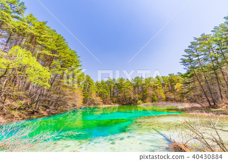 福島縣/浦田市Bandai Goshikinuma Aonuma 福島縣/浦田市Bandai Goshikinuma Aonuma 40430884