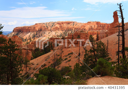 Panorama from Bryce Canyon National Park, USA 40431395