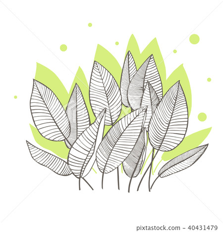 Tropical palm leaves. Design template. Vector illustration. Green drops 40431479