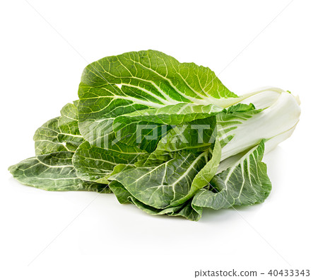 Chinese lettuce in isolated on a white background Chinese lettuce in isolated on a white background 40433343