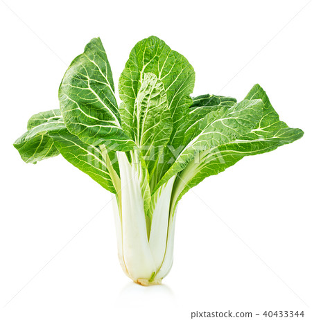 Chinese lettuce in isolated on a white background Chinese lettuce in isolated on a white background 40433344