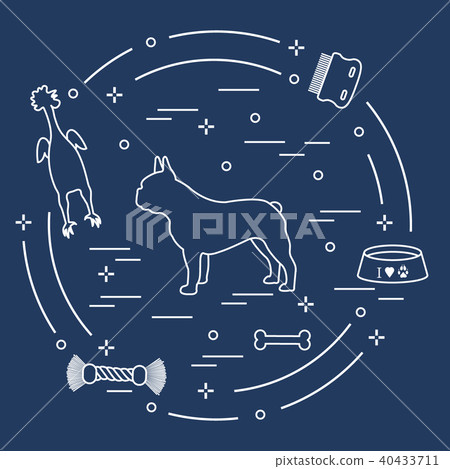 Silhouette of french bulldog, bowl, bone, brush, Silhouette of french bulldog, bowl, bone, brush, 40433711