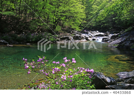 Scenery photos of the Jirisan Valley Scenery photos of the Jirisan Valley 40433868