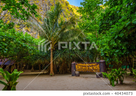 Welcome sign on Maya beach on Koh Phi Phi island in Thailand Welcome sign on Maya beach on Koh Phi Phi island in Thailand 40434073