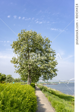 Guri City,Han River,Gyeonggi-do Guri City,Han River,Gyeonggi-do 40434414