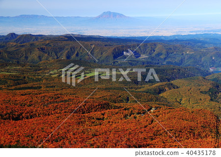 青森Tsugaru平原Hakkoda秋葉與Mt. Iwaki在背景中 40435178