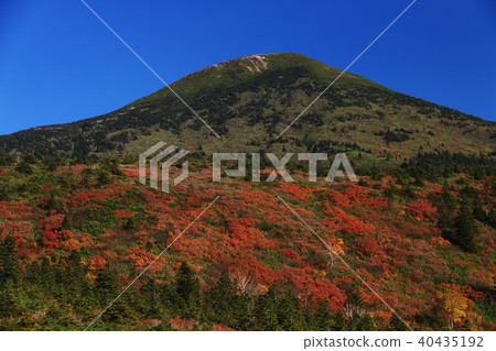 Mt. Hakkoda Aki Takada Mt. Hakkoda Aki Takada 40435192