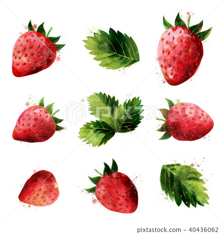 Strawberry on white background. Watercolor illustration Strawberry on white background. Watercolor illustration 40436062