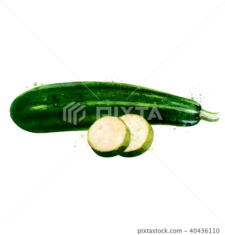Zucchini on white background. Watercolor illustration Zucchini on white background. Watercolor illustration 40436110