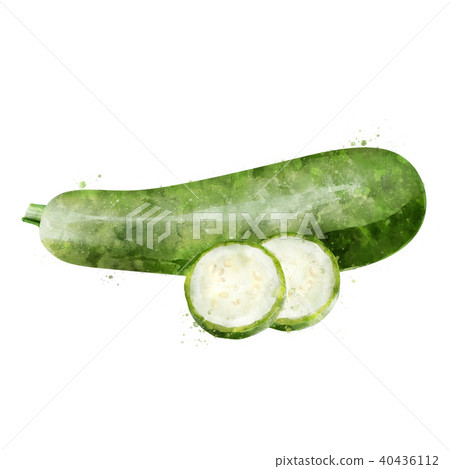 Zucchini on white background. Watercolor illustration Zucchini on white background. Watercolor illustration 40436112