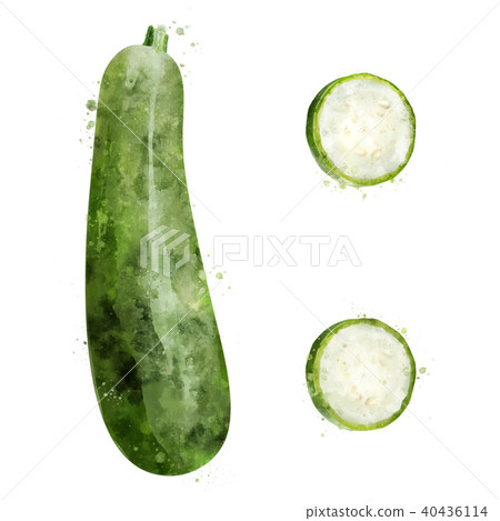Zucchini on white background. Watercolor illustration Zucchini on white background. Watercolor illustration 40436114