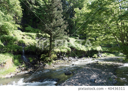 Fresh green mountain stream Heisei 100 famous waters selection Tsuruzu Natsukari 40436311
