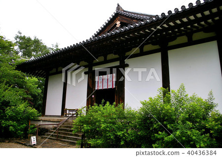 Shin Yakushiji  Shin Yakushiji 40436384