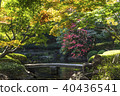秋天日本庭院 40436541