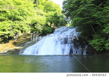 Yoro Gorge "Awamata Falls" with fresh greenery and abundant water Yoro Gorge "Awamata Falls" with fresh greenery and abundant water 40436563