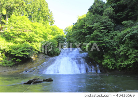 Yoro Gorge "Awamata Falls" with fresh greenery and abundant water 40436569