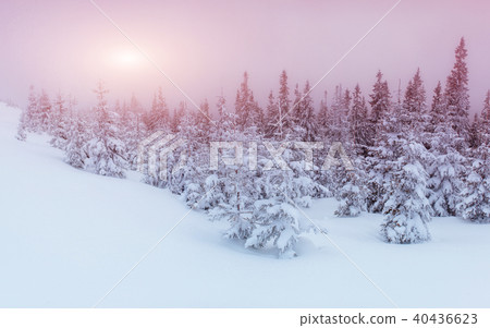 Winter landscape glowing by sunlight. Dramatic wintry scene. 40436623