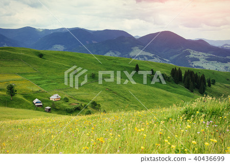 beautiful cozy sunny summer day and the mountains. Carpathians beautiful cozy sunny summer day and the mountains. Carpathians 40436699
