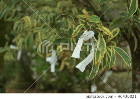 財富_久留米 40436821