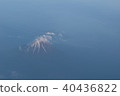 Mt. Fuji from the plane 40436822