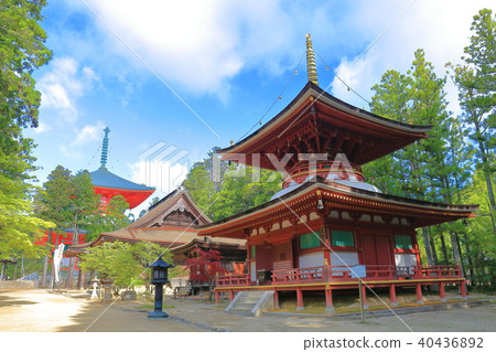 Takanoyama Danjo 40436892