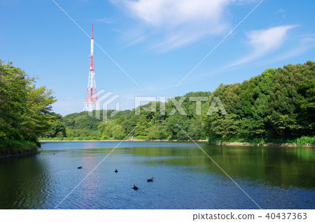Kanagawa Prefectural Mitsuike Park and TV Kanagawa transmission tower (Tsurumi Ward, Yokohama City) 40437363