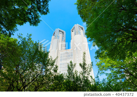 從新宿中央公園看年輕的葉子和新鮮的綠色的東京都政府 40437372