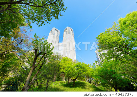 從新宿中央公園看年輕的葉子和新鮮的綠色的東京都政府 40437373