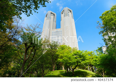 從新宿中央公園看年輕的葉子和新鮮的綠色的東京都政府 40437374