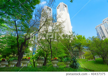 從新宿中央公園看年輕的葉子和新鮮的綠色的東京都政府 從新宿中央公園看年輕的葉子和新鮮的綠色的東京都政府 40437375